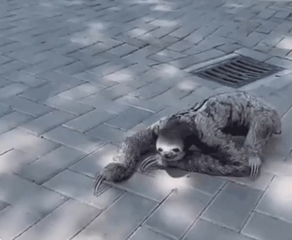 ezgif_com-gif-maker_(71).gif