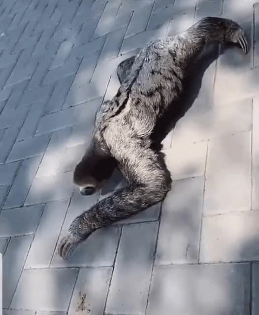 ezgif_com-gif-maker_(70).gif