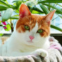bt3f121ae97553a6049cb495e6c51b51cb.jpg