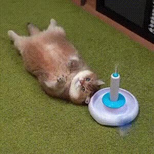 3d104c601d4b3e0f7ffe8838e0ac22bab7e6b6a48b4272db444db6ad8f9639b1.mp4.gif