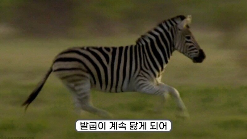 24post.co.kr_037.jpg
