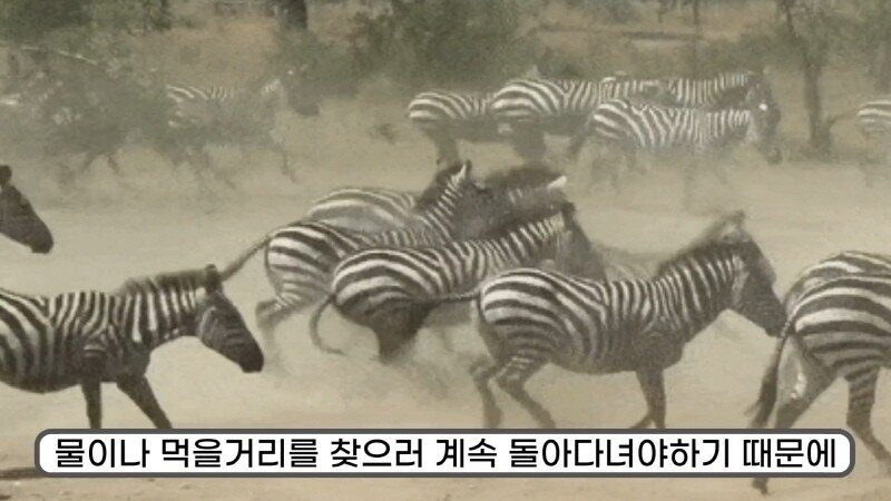 24post.co.kr_035.jpg