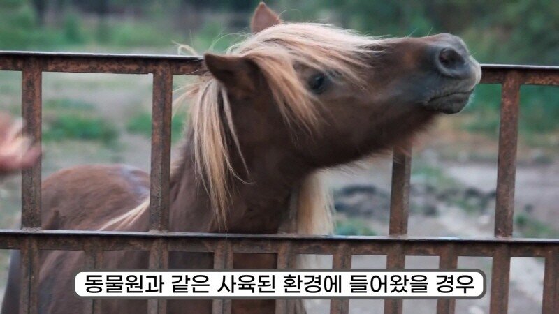 24post.co.kr_041.jpg