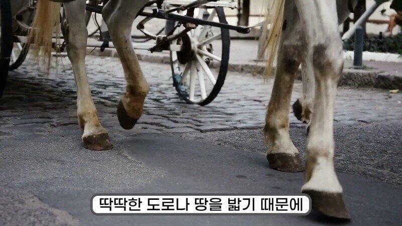 24post.co.kr_016.jpg