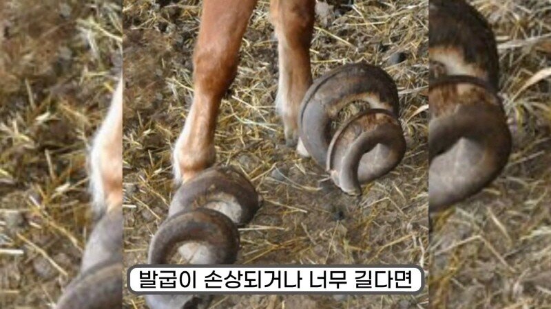 24post.co.kr_029.jpg