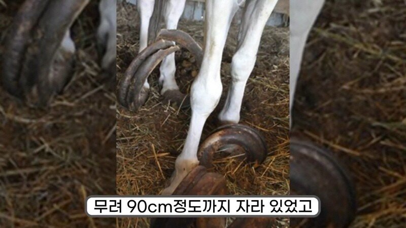 24post.co.kr_027.jpg