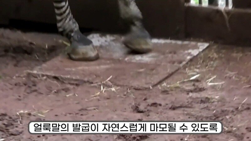 24post.co.kr_045.jpg