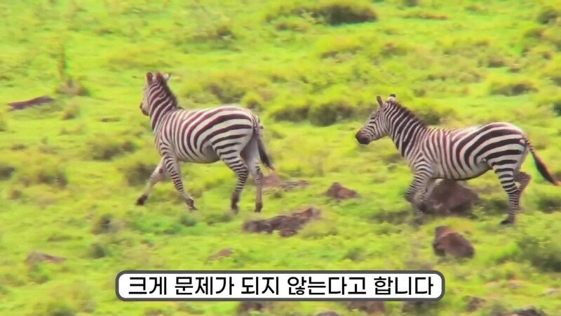 24post.co.kr_039.jpg