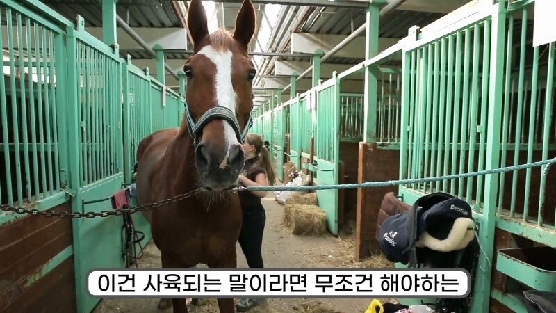 24post.co.kr_006.jpg