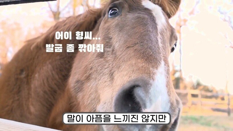 24post.co.kr_010.jpg