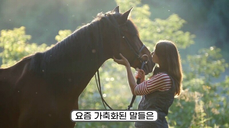 24post.co.kr_015.jpg