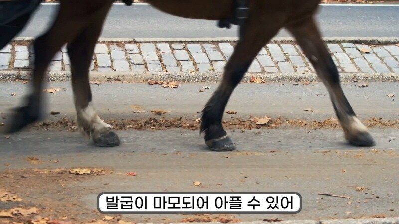 24post.co.kr_017.jpg