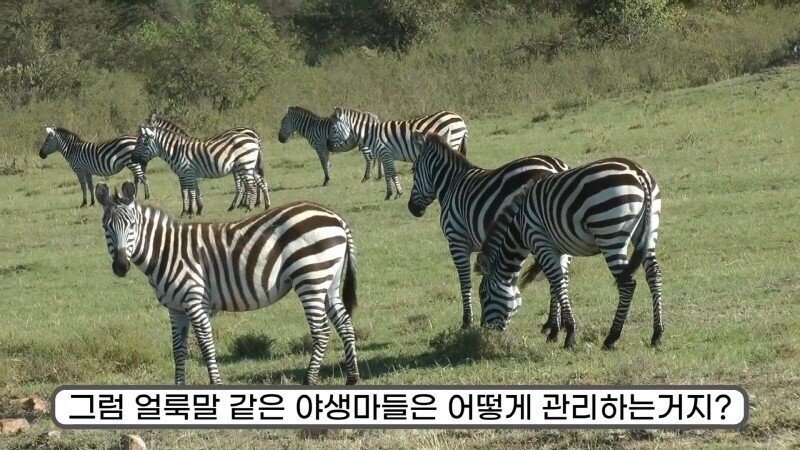 24post.co.kr_034.jpg