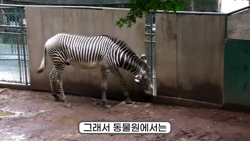24post.co.kr_044.jpg