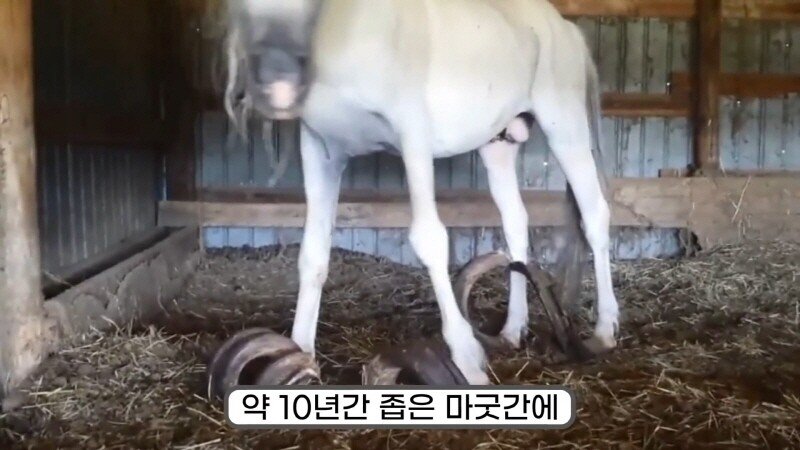 24post.co.kr_024.jpg