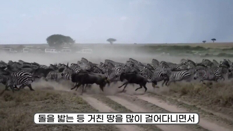 24post.co.kr_036.jpg