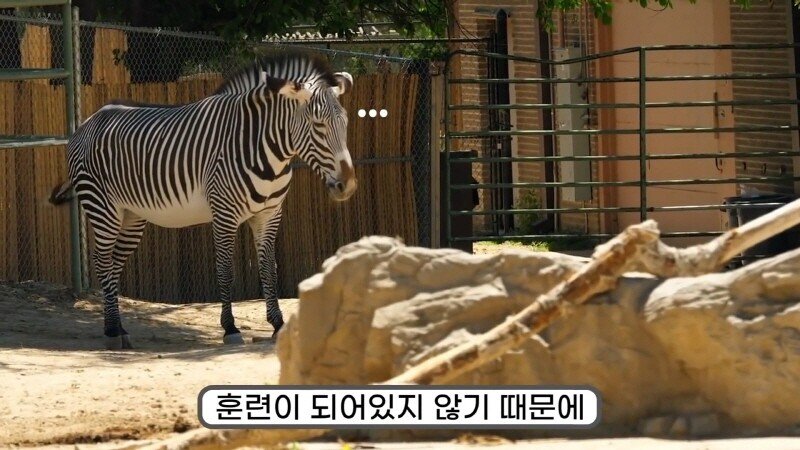 24post.co.kr_042.jpg
