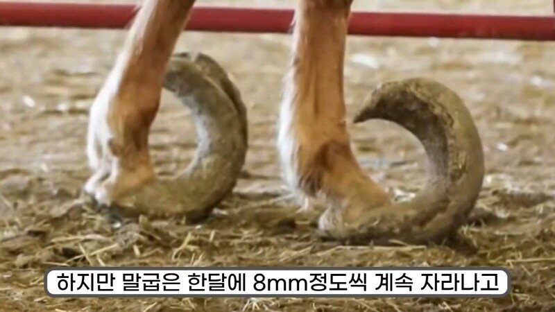 24post.co.kr_020.jpg
