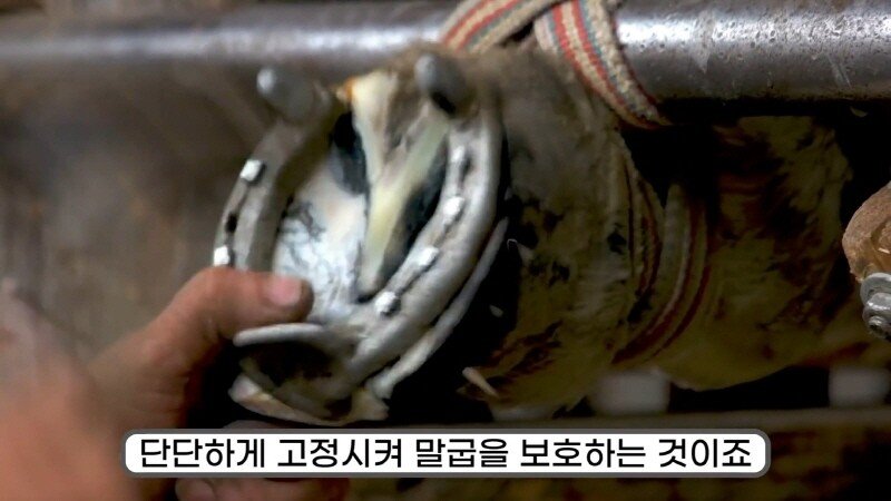 24post.co.kr_019.jpg