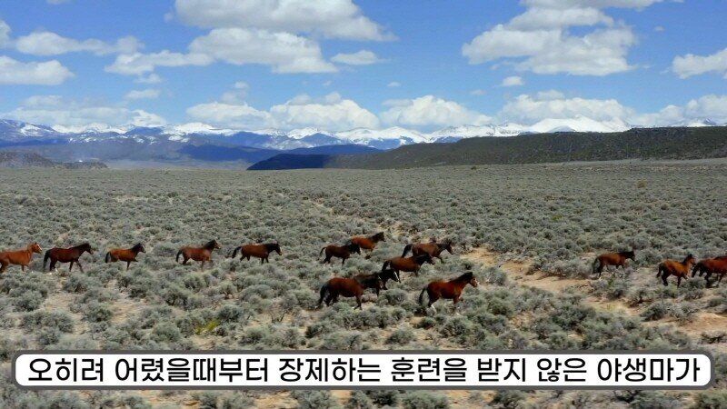 24post.co.kr_040.jpg