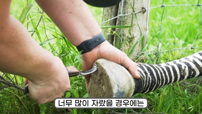 24post.co.kr_047.jpg