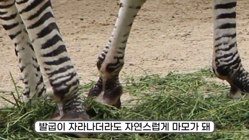 24post.co.kr_038.jpg