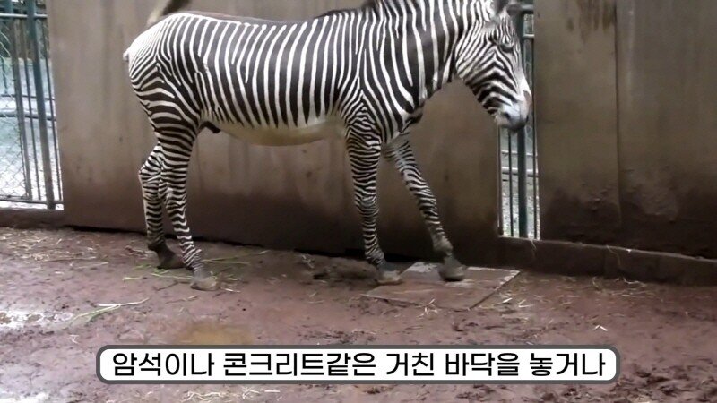 24post.co.kr_046.jpg