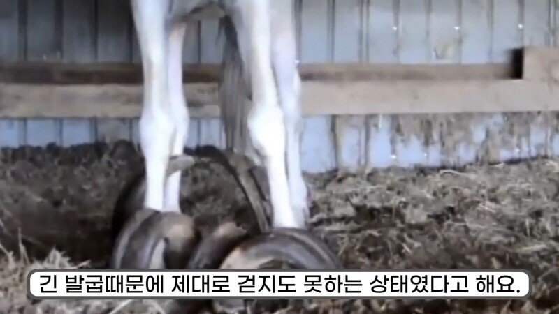 24post.co.kr_028.jpg