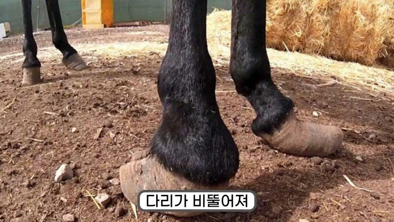 24post.co.kr_030.jpg