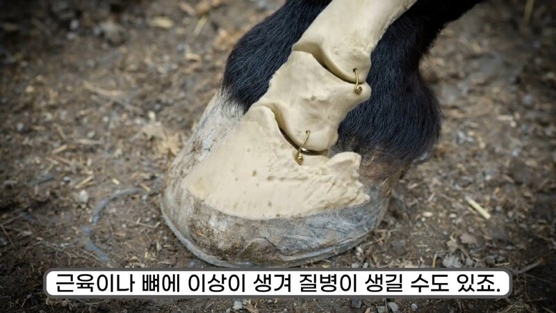 24post.co.kr_031.jpg