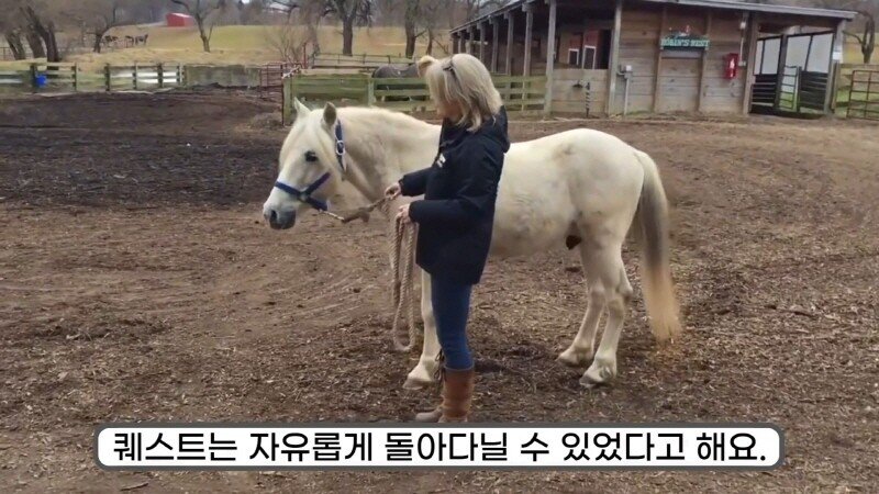 24post.co.kr_033.jpg
