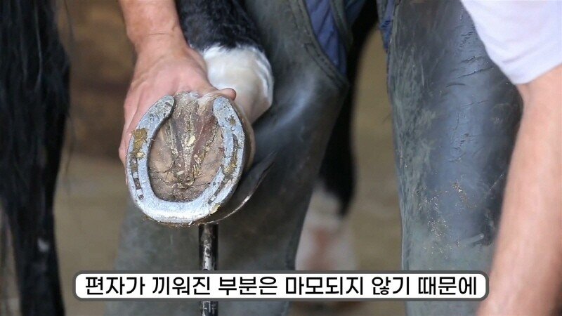 24post.co.kr_021.jpg