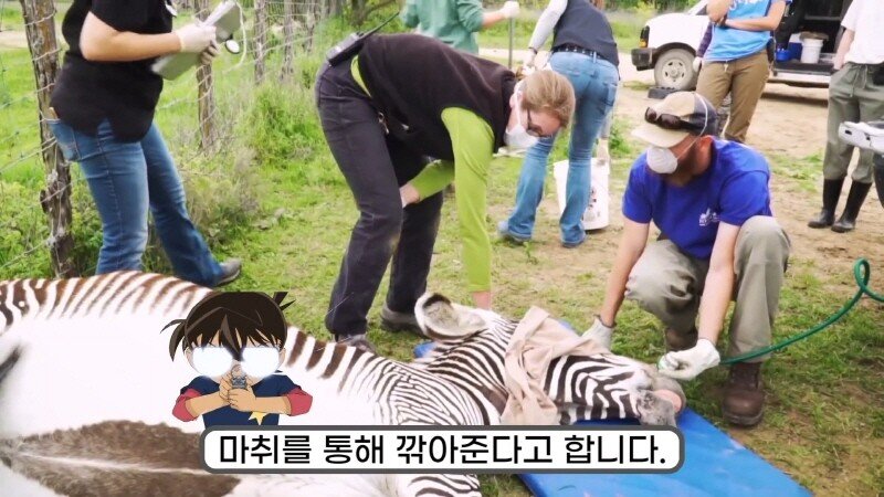 24post.co.kr_048.jpg
