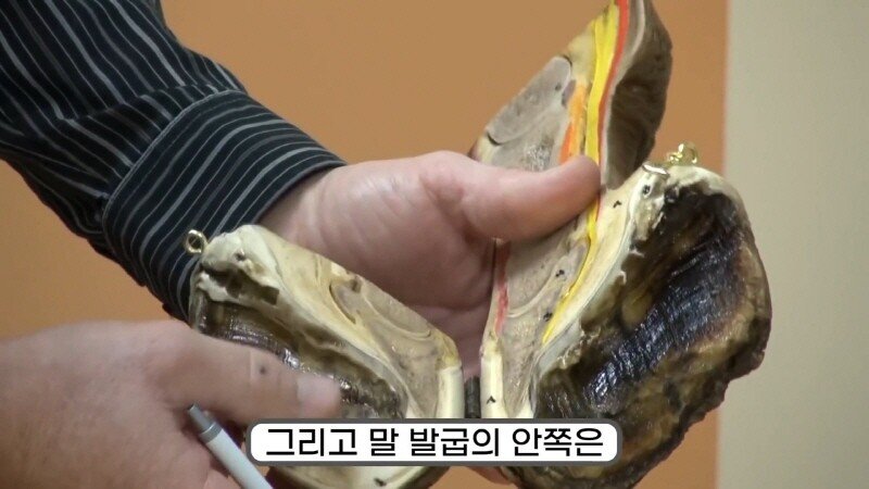 24post.co.kr_013.jpg