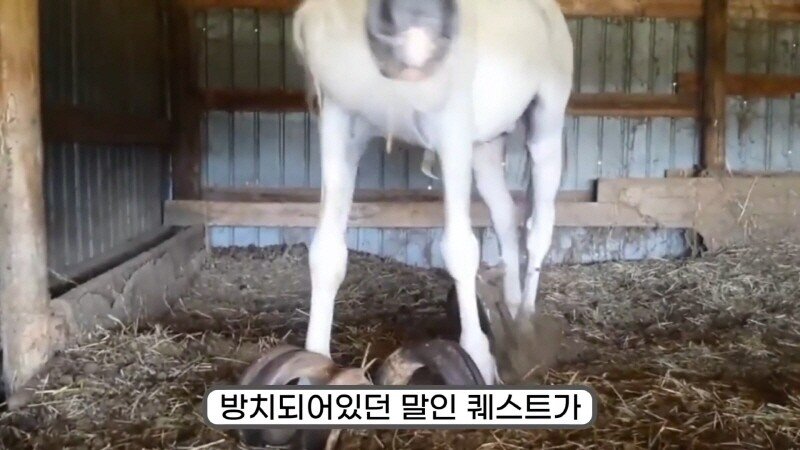 24post.co.kr_025.jpg