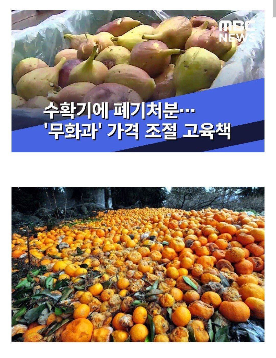 24post.co.kr_002.jpg
