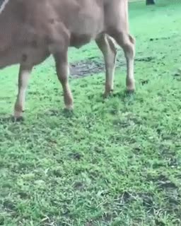 3971f17f0ea791b124cd2eed4679b16c.gif