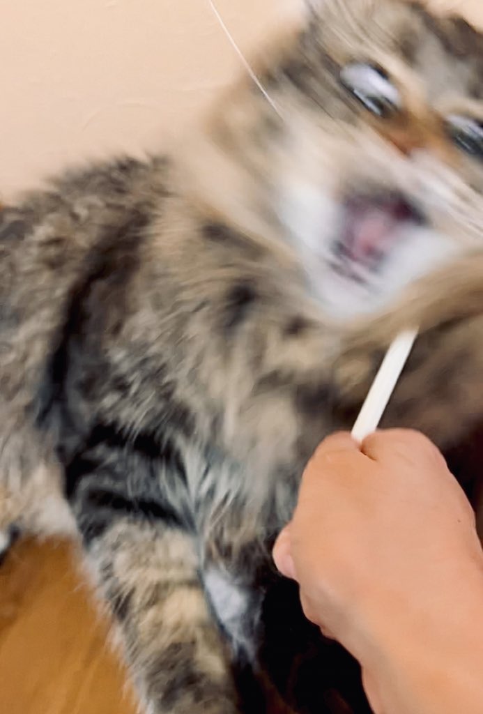 FStr7KGaAAAhUVR.jpg