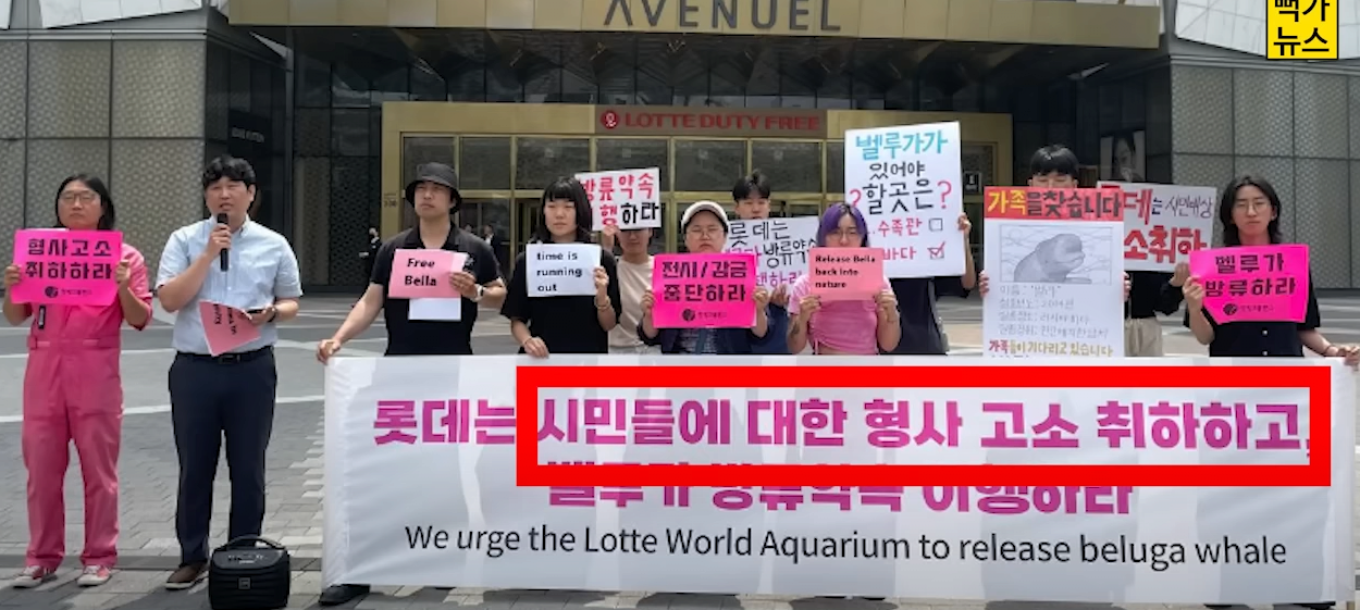 돌핑크.png