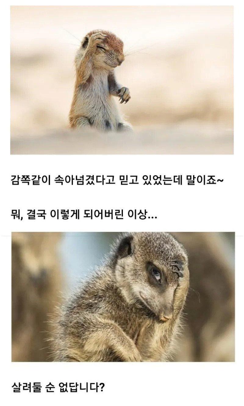실눈캐.png.jpg