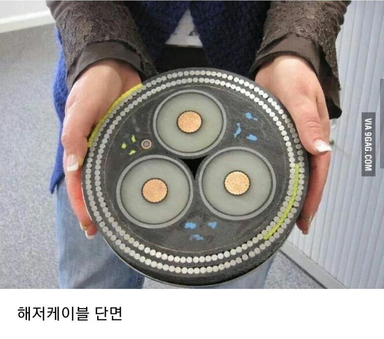 김짤.com_002.jpg