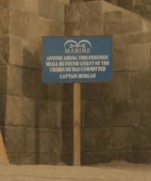 16935631945459.png