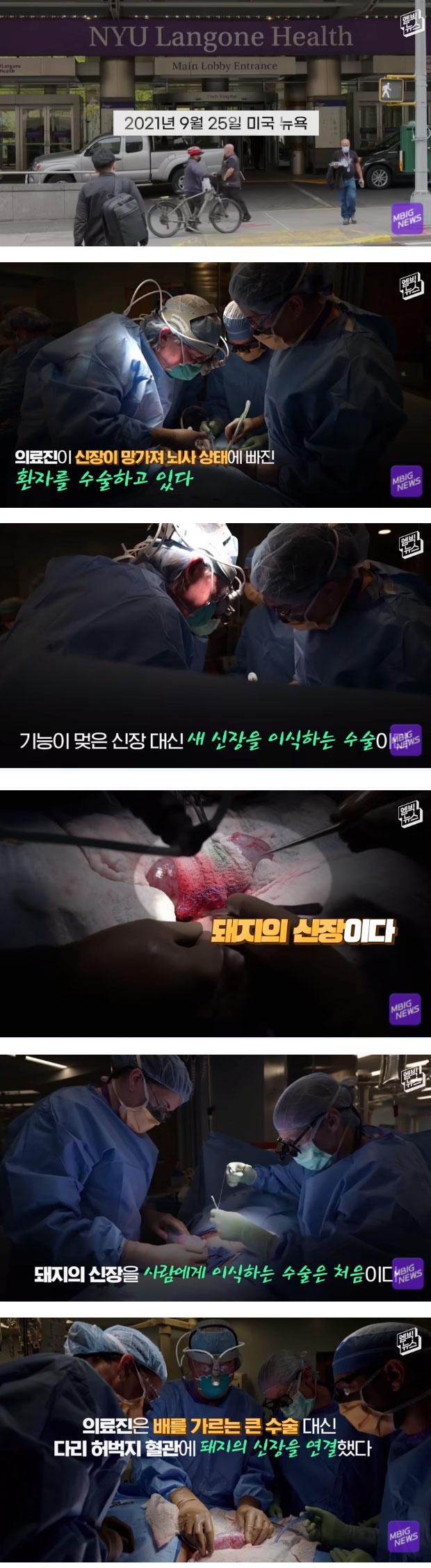 김짤.com_001.jpg