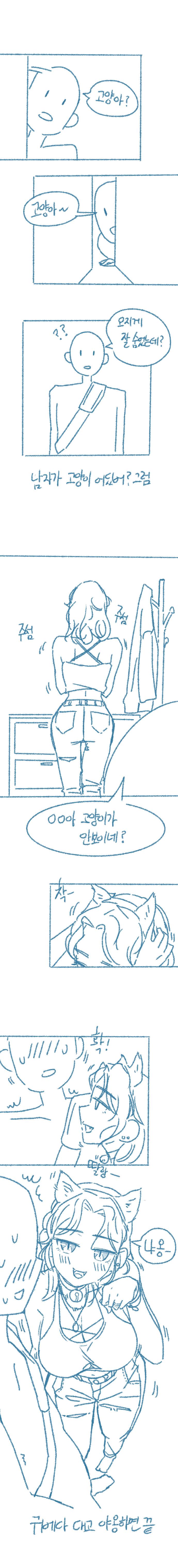 고양이보러 갈래2.jpg