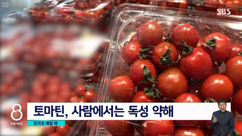 24post.co.kr_009.jpg