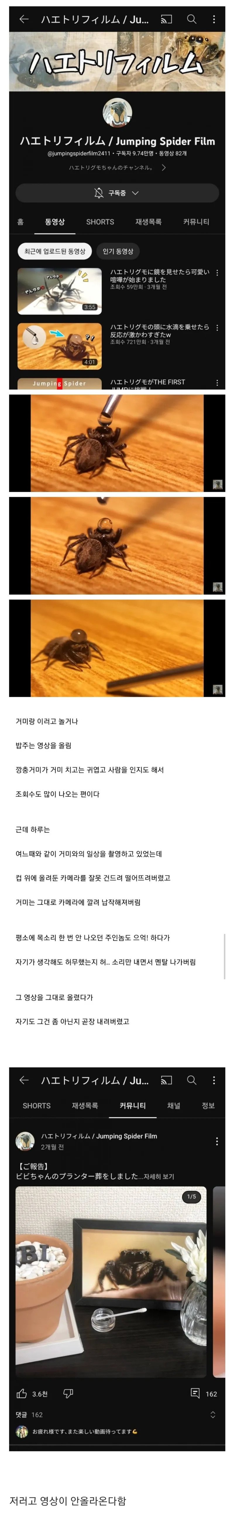 거미를 어이없게 죽여버린 거미 유튜버