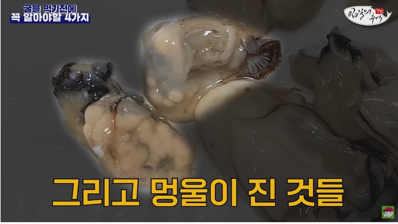 김짤.com_031.jpg