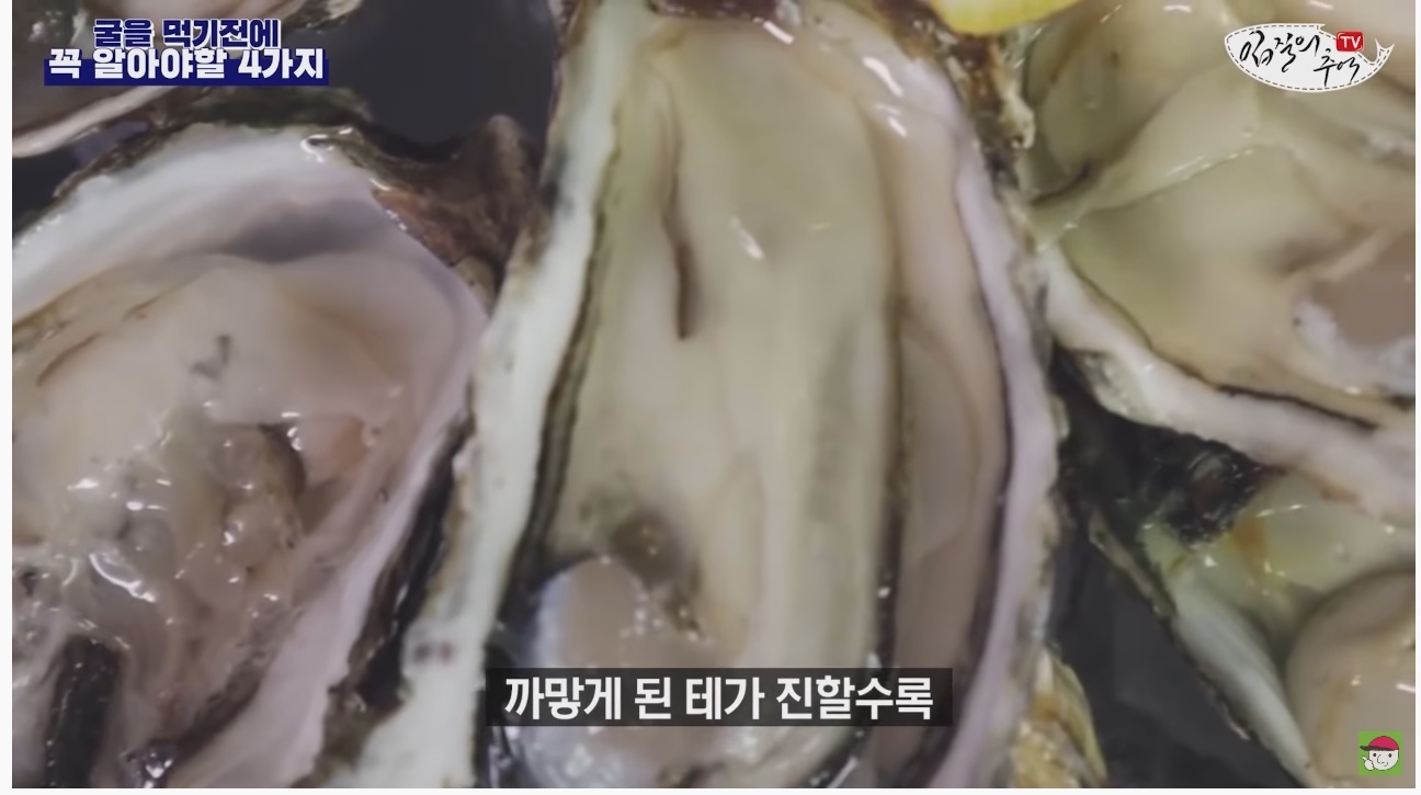 김짤.com_021.jpg