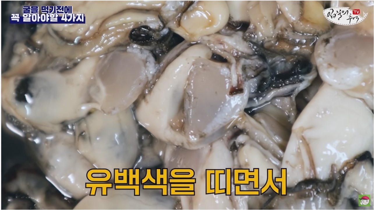 김짤.com_017.jpg