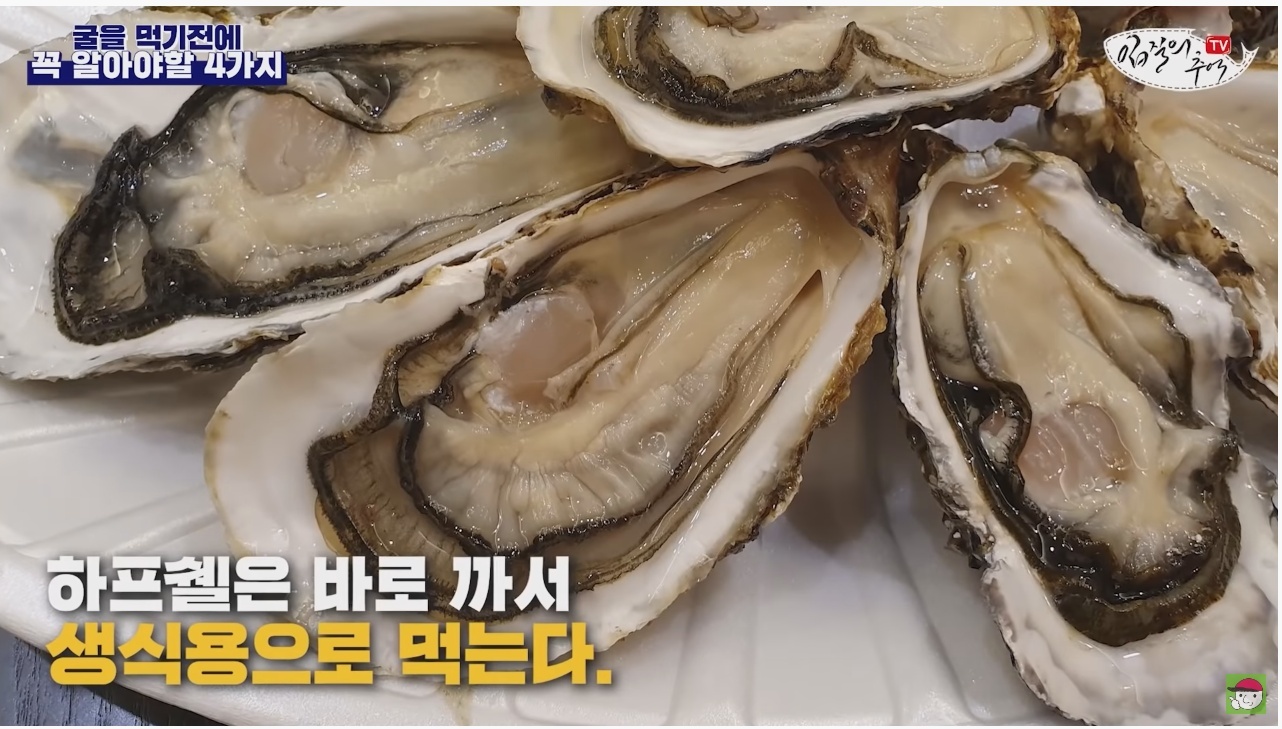 김짤.com_007.jpg